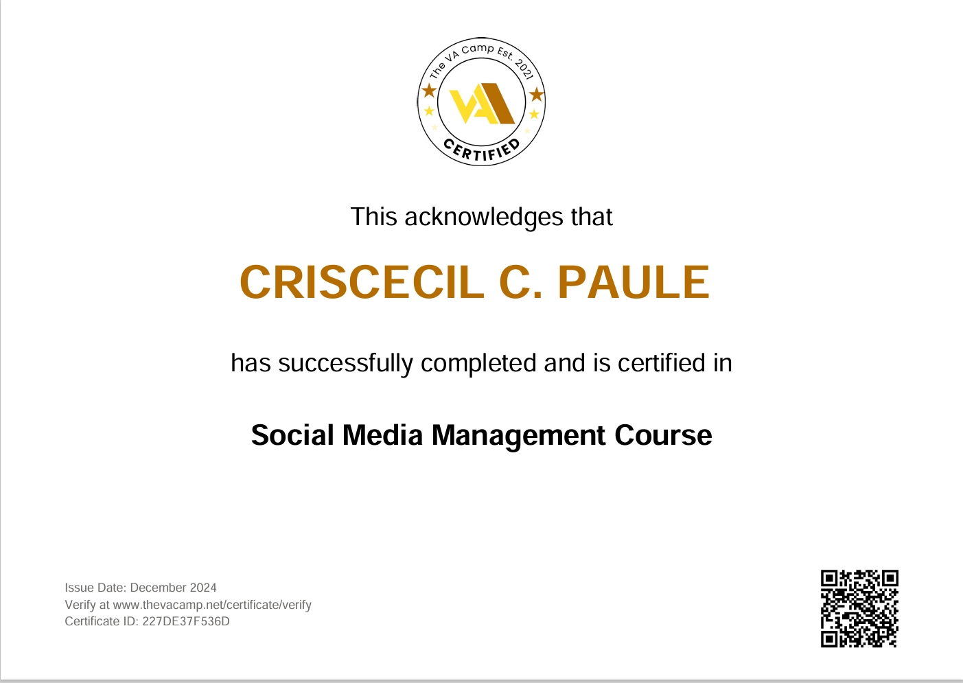 social media management