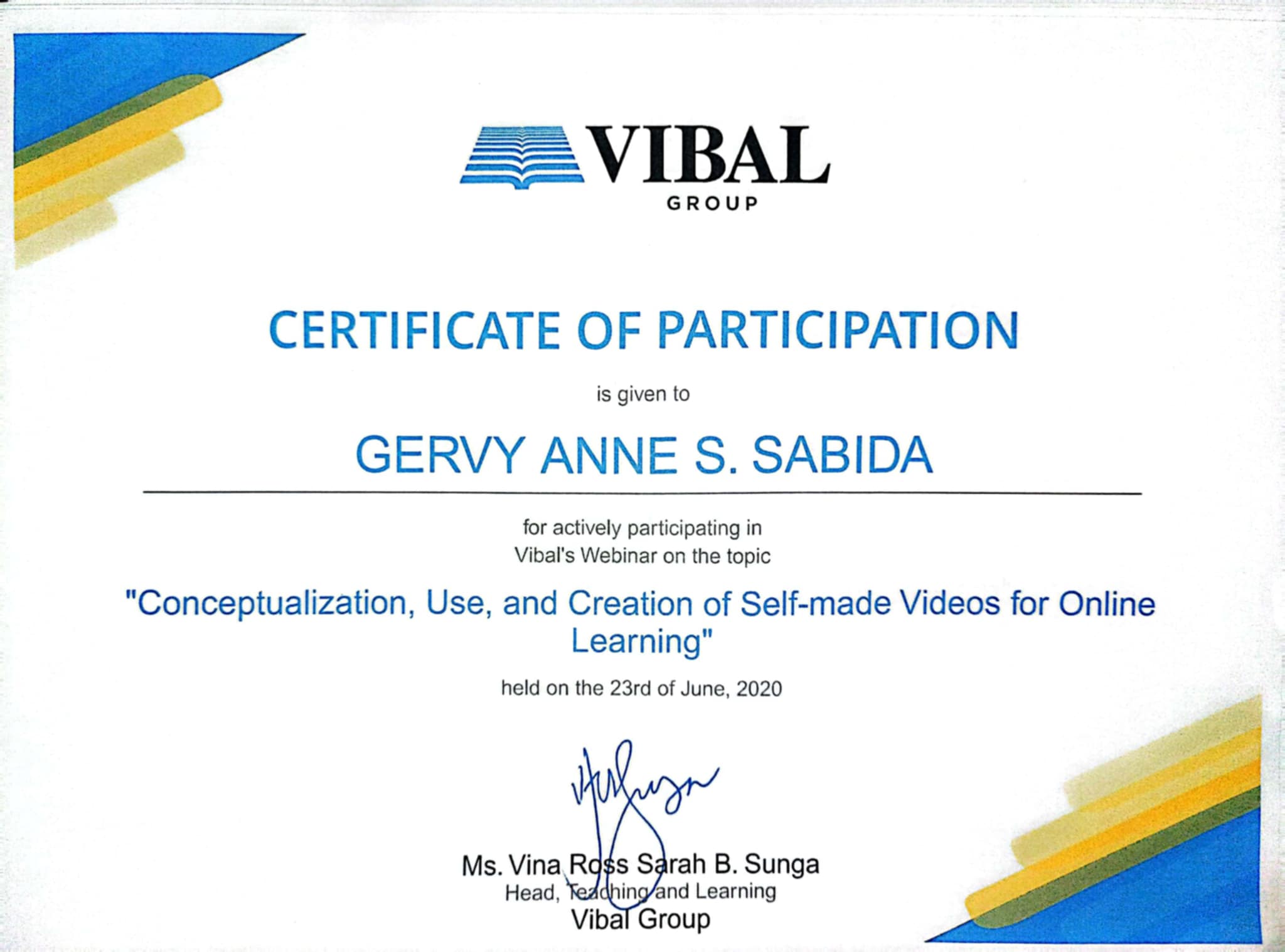 Conceptualization, Use and  Creation  of Self Made Videos