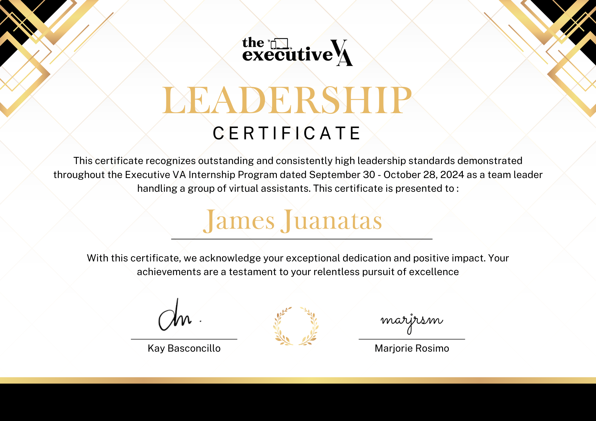 Team Leader