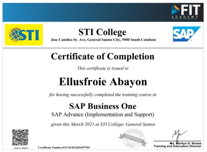 SAP Business One - Implementation and Support