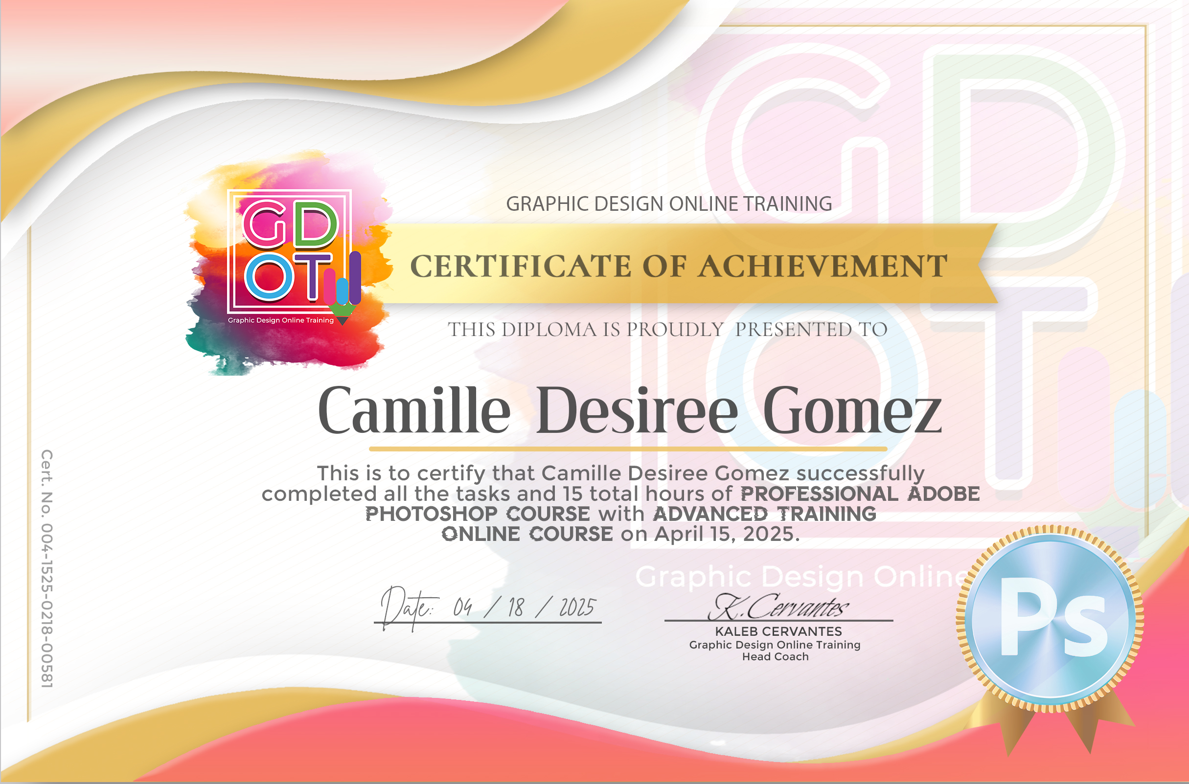 Graphic Artist
