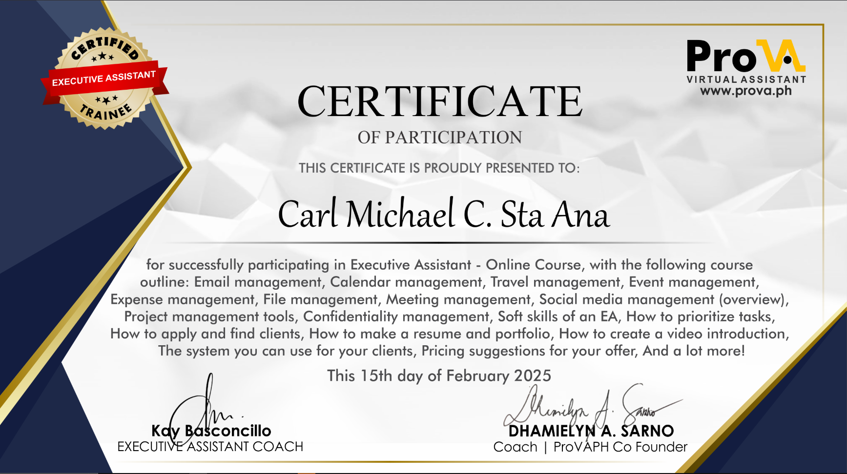 Execute Virtual Assistant training