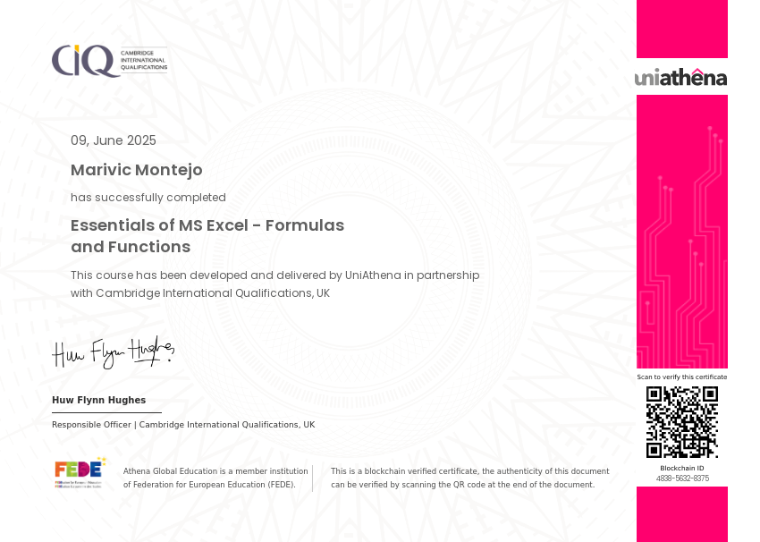 MS Excel Formulas and Functions