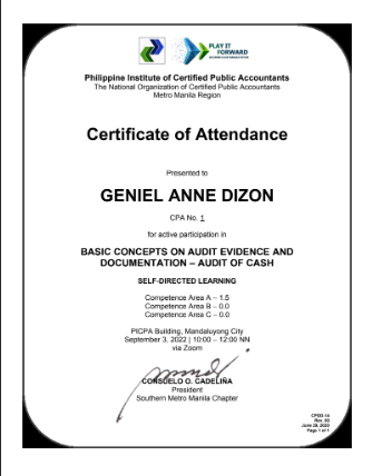 Basic Concepts on Audit Evidence and Documentation - Audit of Cash