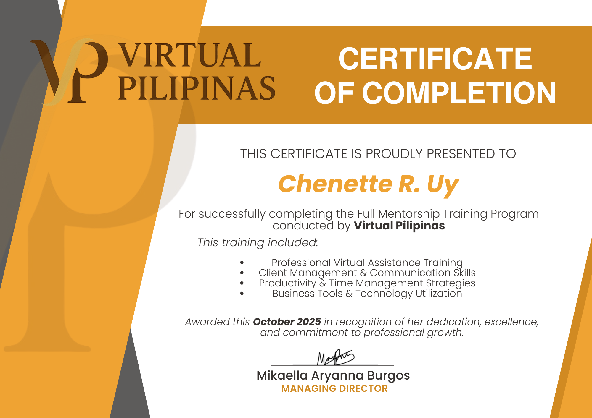 Full Mentorship Training Program