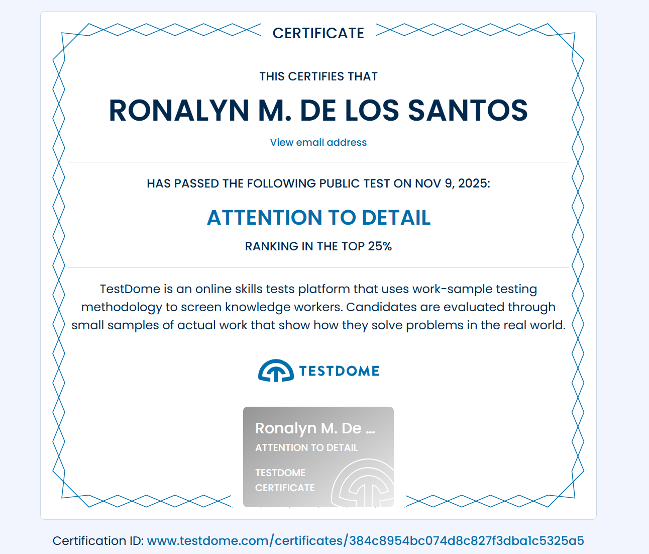 Test Dome Attention to Detail Test