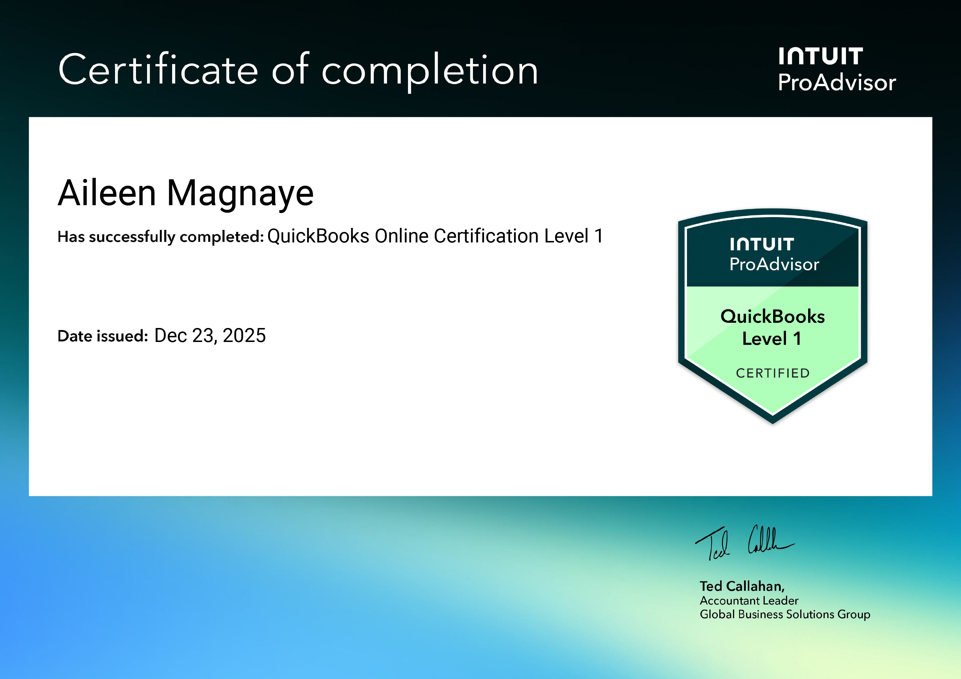 Quickbooks Online Certification Level 1