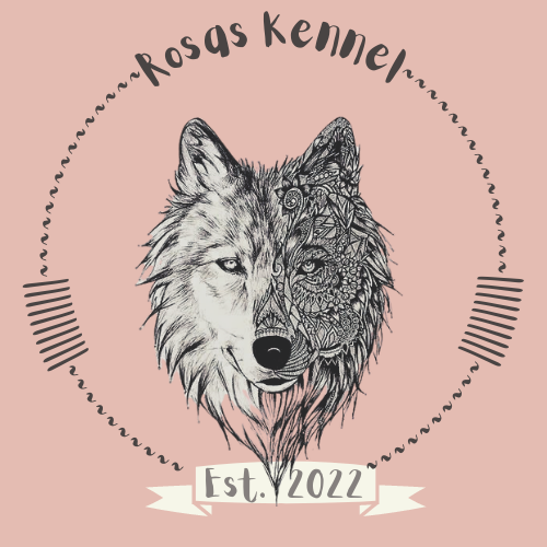 62efc1076e671.png