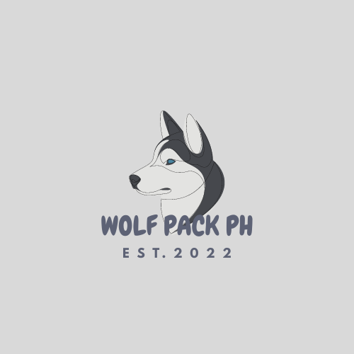 62efc113d2555.png