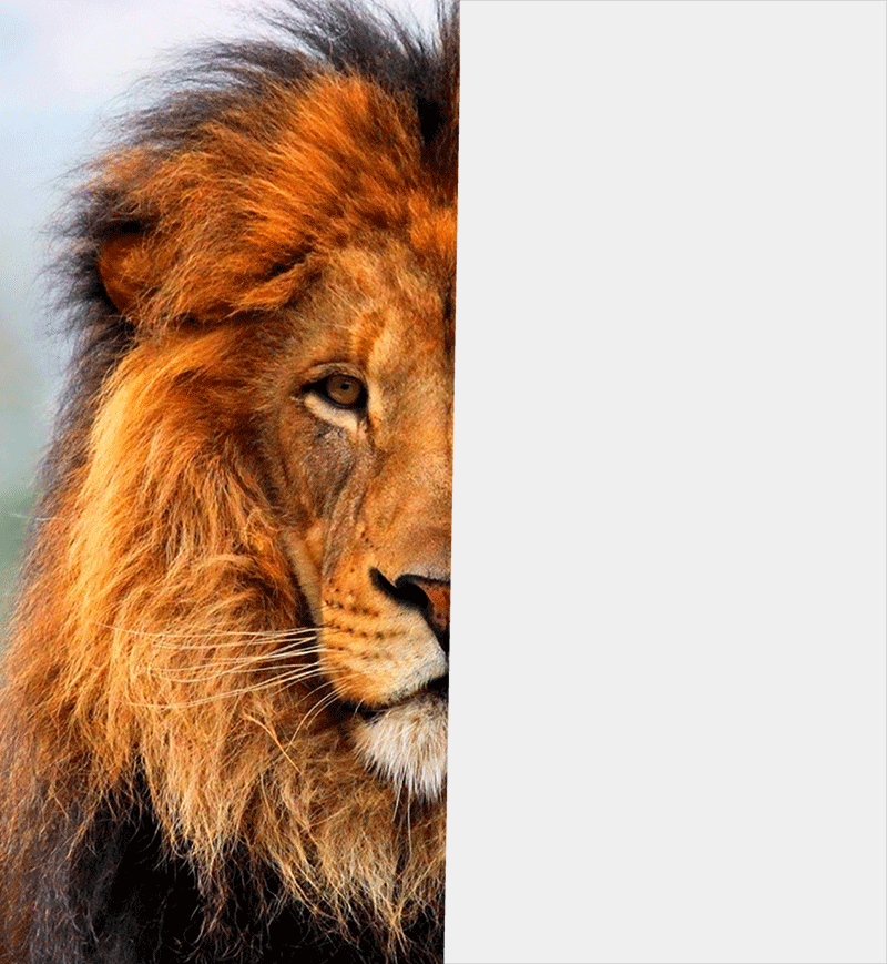 631853412f6aa.gif