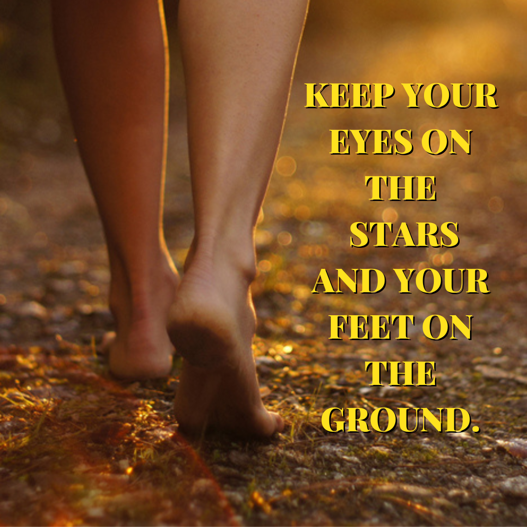 6356d352ea3f4.png