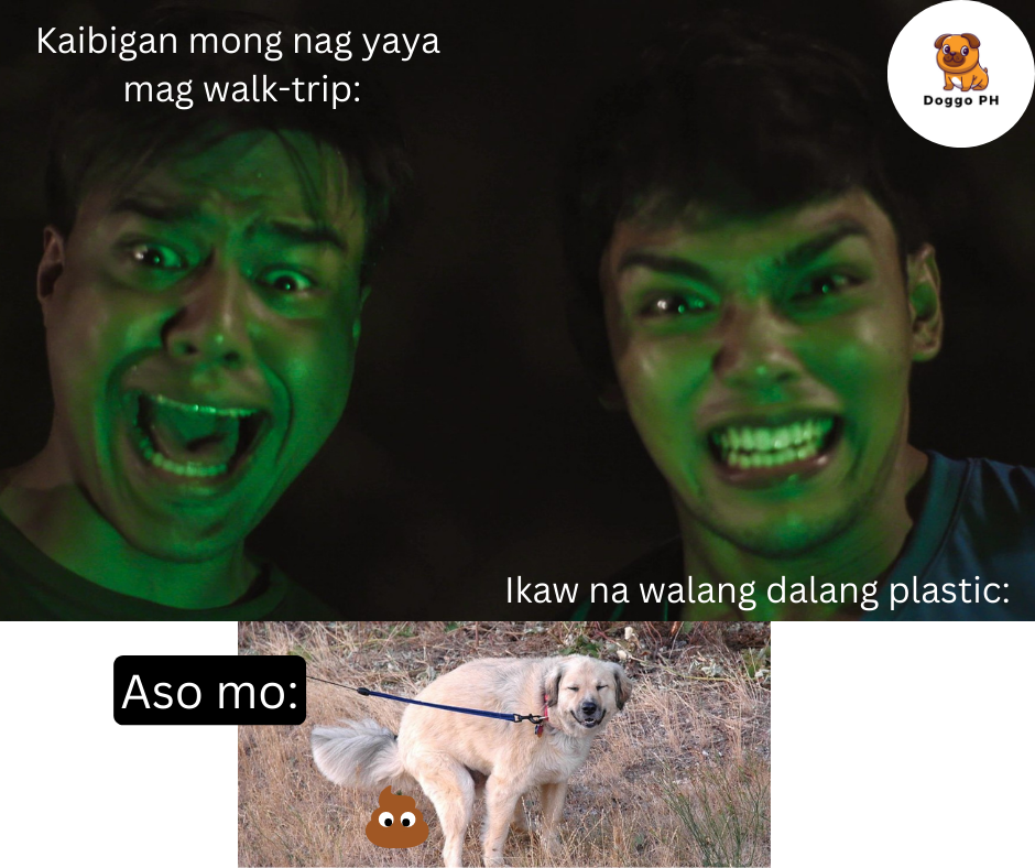 6378770a9aa65.png