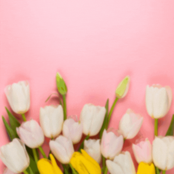 640f28786070b.gif