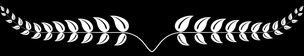 66631aaf24274.jpg