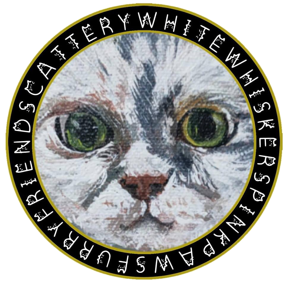 666d4889b2175.png