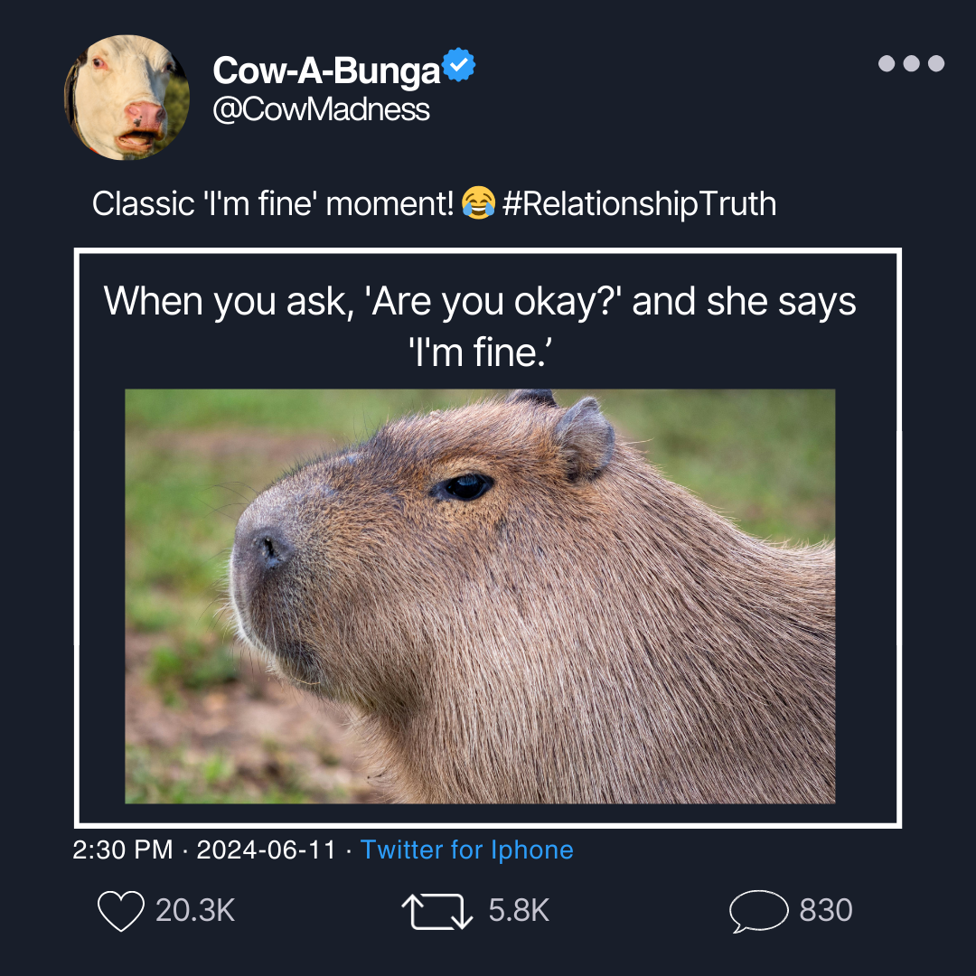 66cc55f158264.png