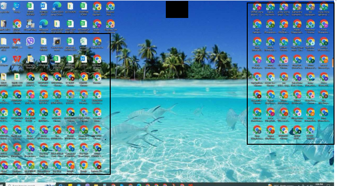 679da5bd3312d.png