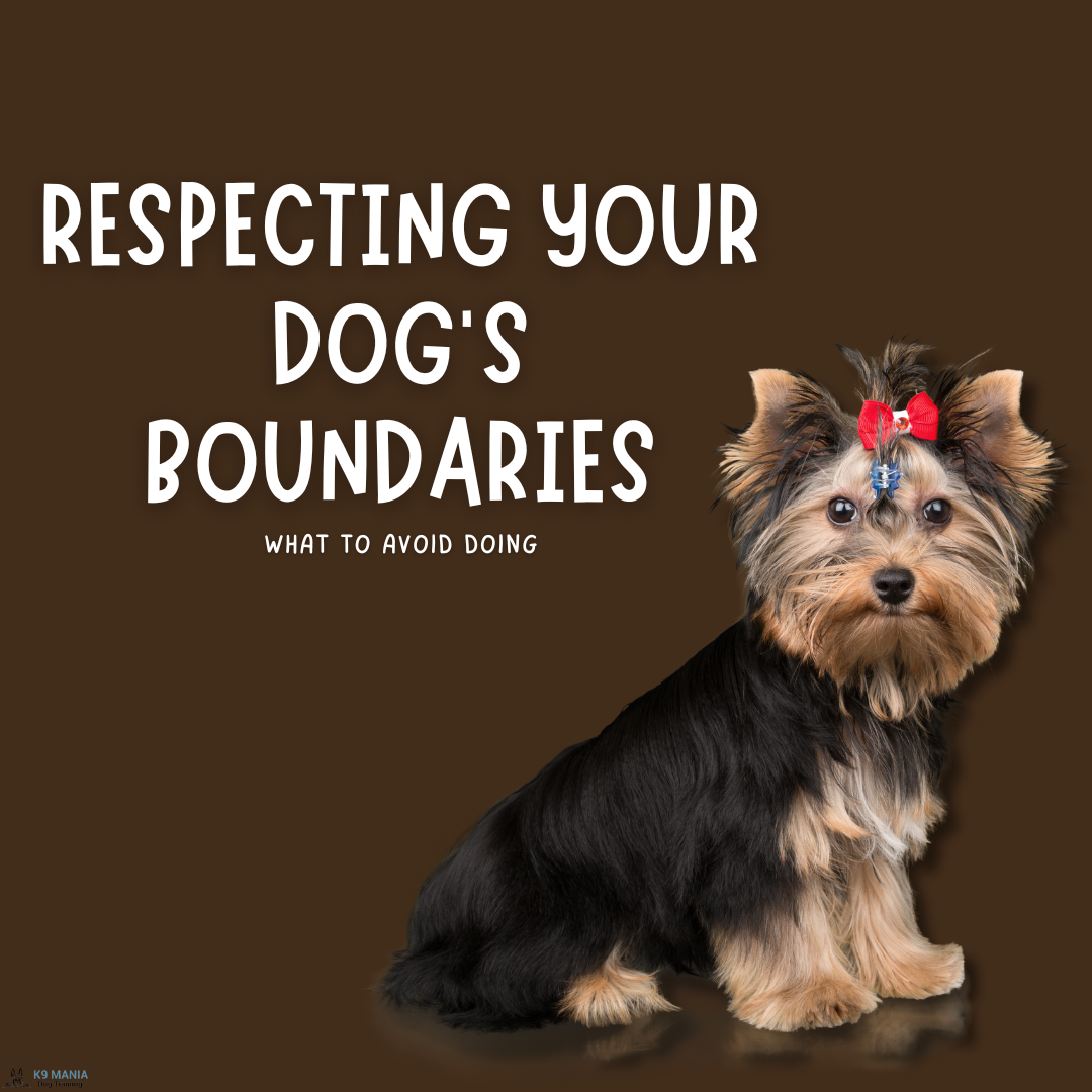 67d46455b8782.png