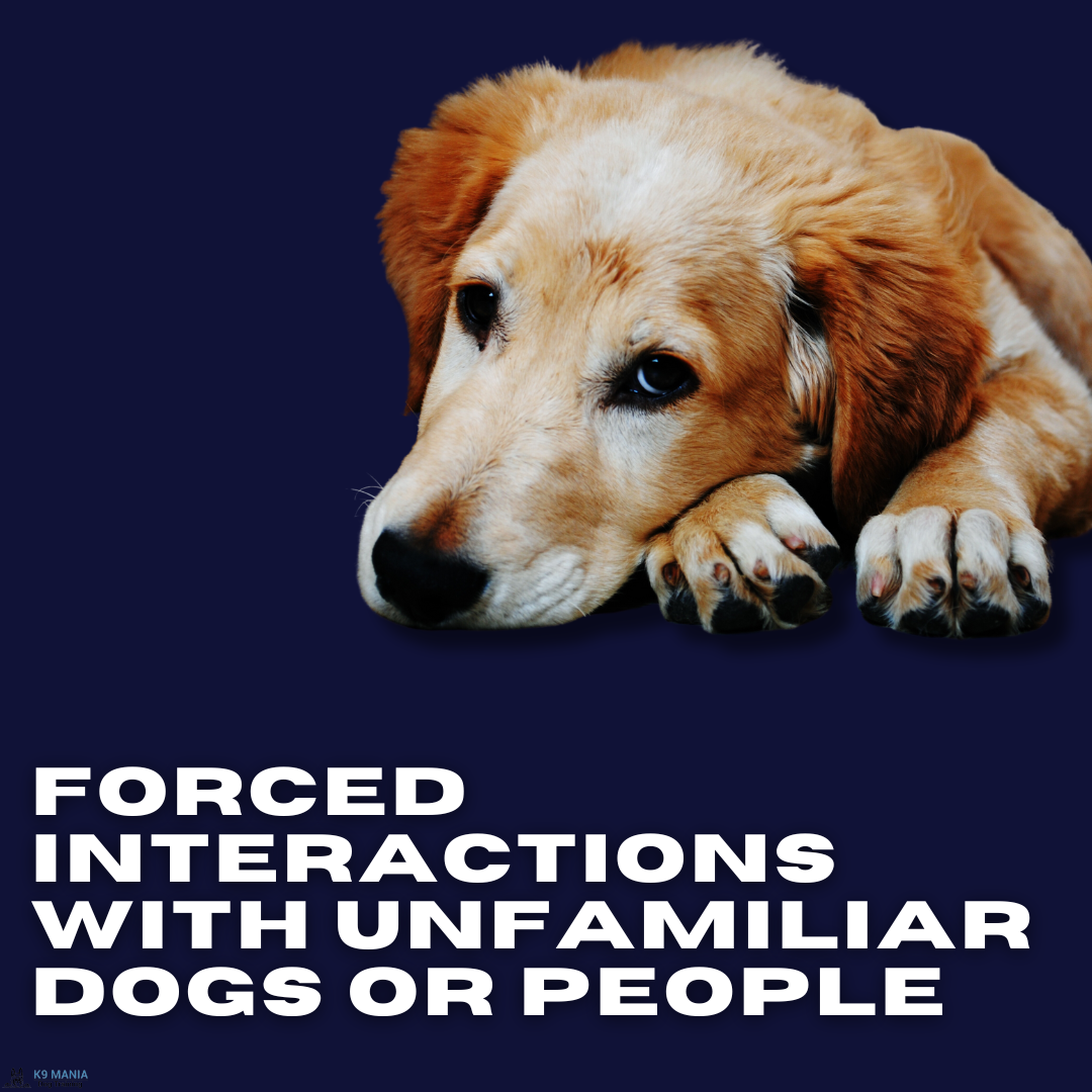 67d4647510c0f.png