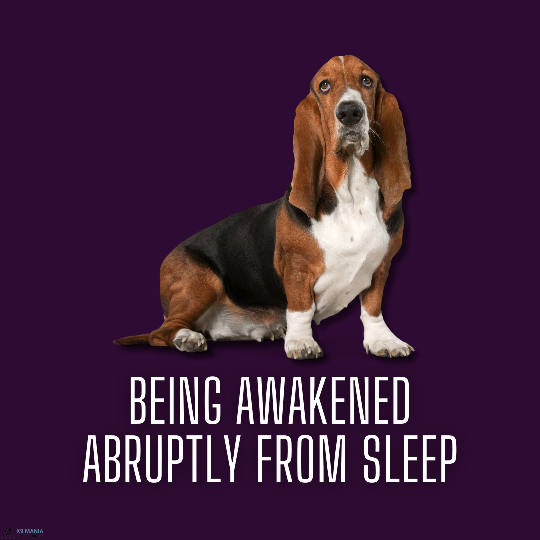 67d4647aa4c25.png
