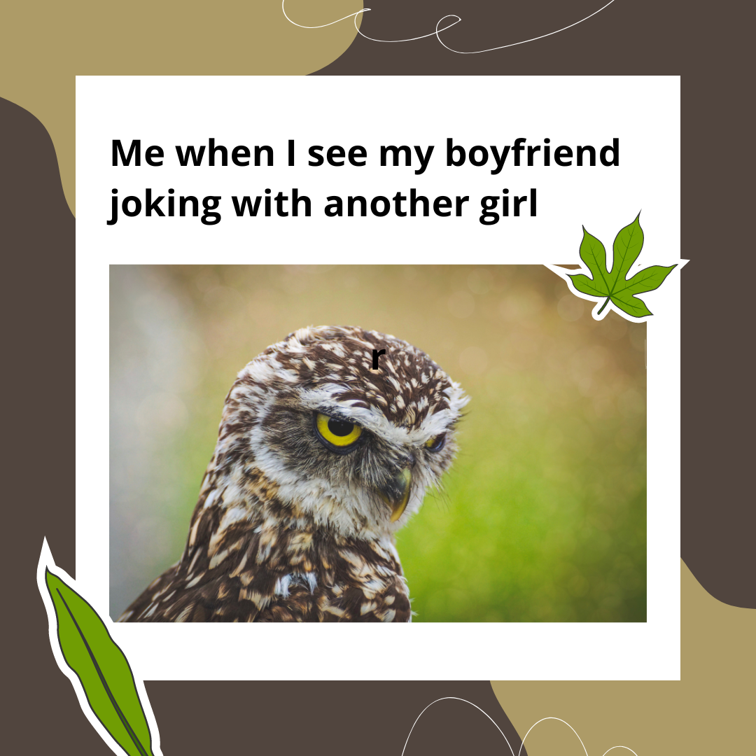 683b36126cff4.png