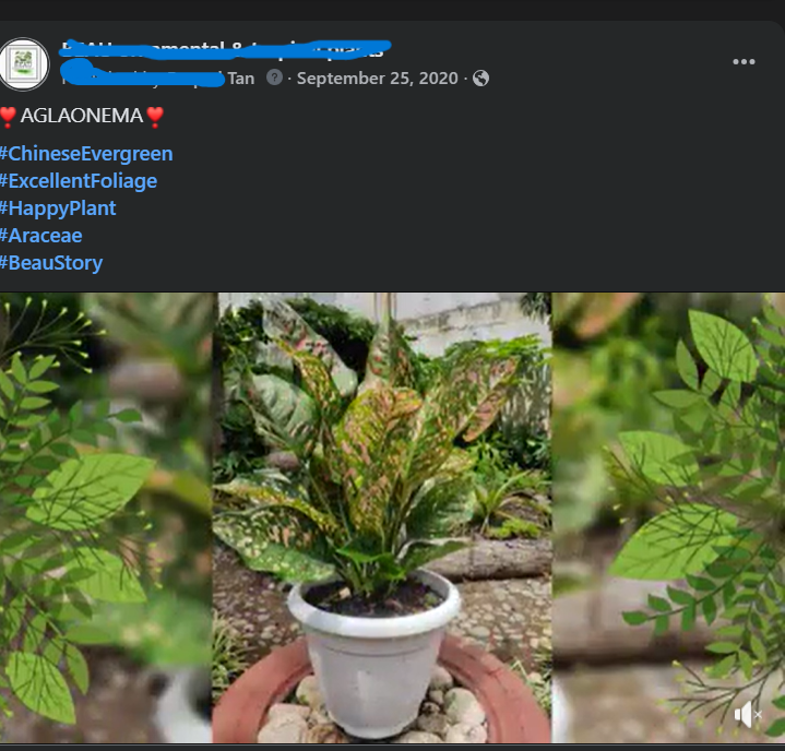 68a09b11350bb.png